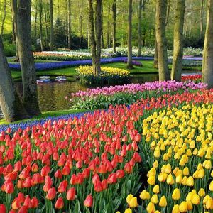 Meet your Posher, Marla